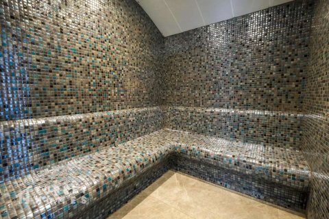 پنت هاس در Alanya ، ترکیه 2 خوابه ، 105 متر مربع. شماره 233295 - 24