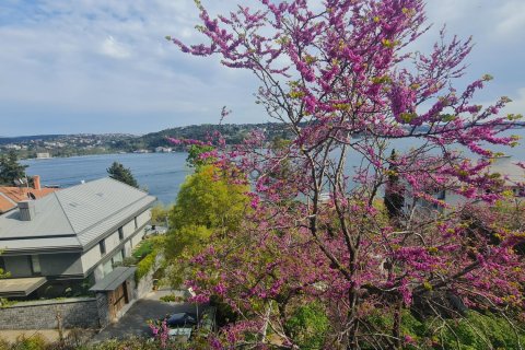 آپارتمان در Besiktas، Istanbul ، ترکیه 4 خوابه ، 215 متر مربع. شماره 225262 - 1