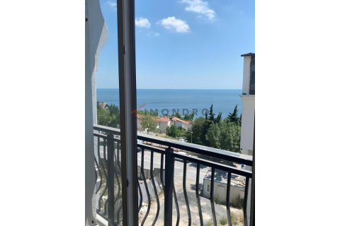 آپارتمان در Avcılar، Istanbul ، ترکیه 4 خوابه ، 278 متر مربع. شماره 225258 - 9