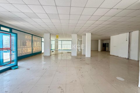 Аренда коммерческой недвижимости в Аланье, Анталье, Турция, 900м2, №226981 – фото 4