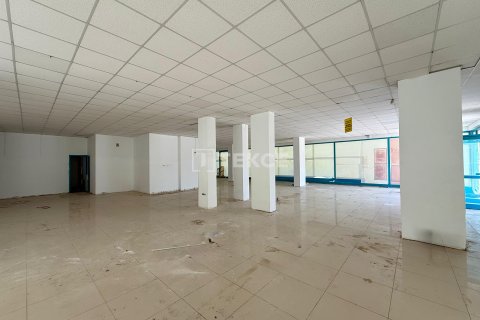 Аренда коммерческой недвижимости в Аланье, Анталье, Турция, 900м2, №226981 – фото 6