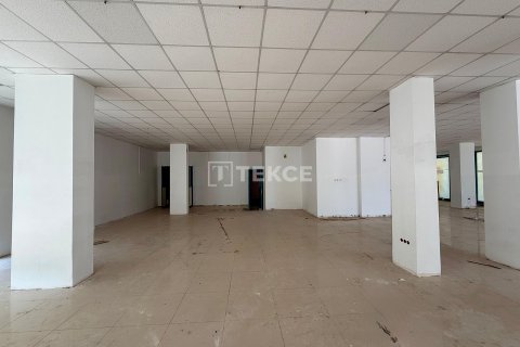 Аренда коммерческой недвижимости в Аланье, Анталье, Турция, 900м2, №226981 – фото 8