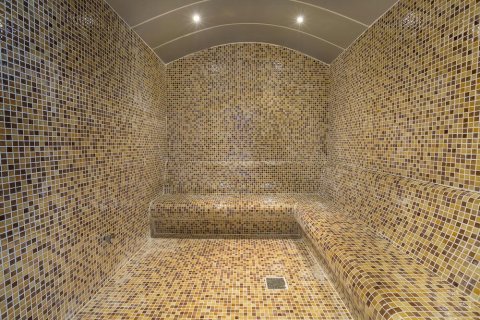 2+1 Lejlighed  i Alanya, Antalya, Tyrkiet Nr. 218375 - 14