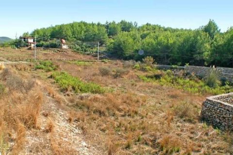 زمین در Alanya ، ترکیه شماره 232382 - 3