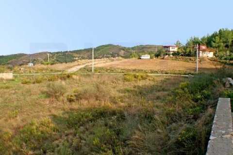 زمین در Alanya ، ترکیه شماره 232382 - 2