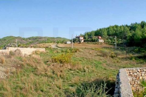 زمین در Alanya ، ترکیه شماره 232382 - 4