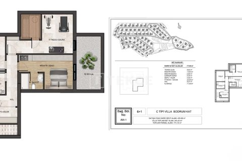 7+1 Villa  i Urla, Izmir, Turkiet Nr. 221603 - 28