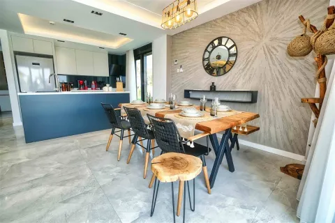 آپارتمان در  Aegean Region ، ترکیه 4 خوابه ، 450 متر مربع.  شماره 223938 - 9