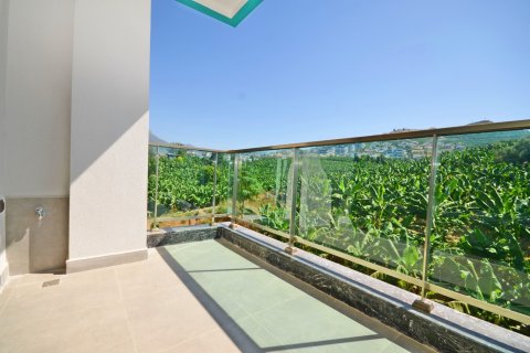 1+1 Wohnung in Alanya, Antalya, Türkei Nr. 216808 - 10