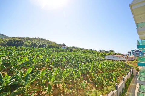 1+1 Wohnung in Alanya, Antalya, Türkei Nr. 216808 - 11