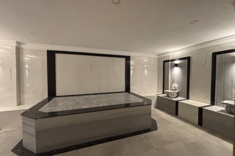 Аренда квартиры  в Аланье, Анталье, Турция 1+1, 50м2, №216805 – фото 15