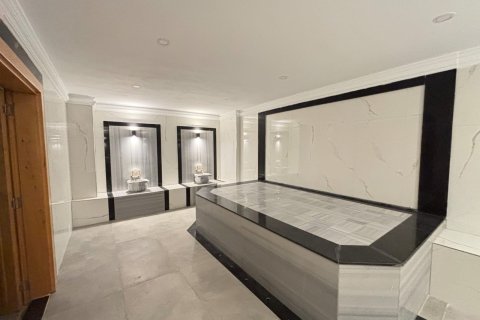 Аренда квартиры  в Аланье, Анталье, Турция 1+1, 50м2, №216805 – фото 14