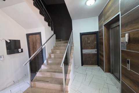 1+1 Wohnung  in Alanya, Antalya, Türkei Nr. 216804 - 5