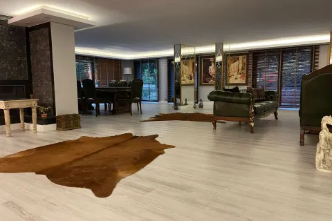 Продажа виллы в Стамбуле, Турция 7+1, 600м2, №222061 – фото 3