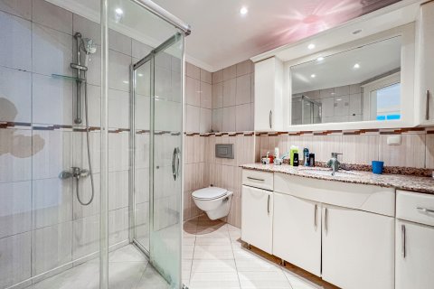 3+1 Wohnung  in Mahmutlar, Antalya, Türkei Nr. 218823 - 14