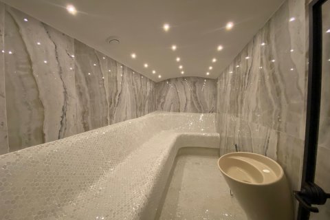 1+1 Lejlighed  i Alanya, Antalya, Tyrkiet Nr. 219939 - 14