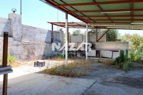 آپارتمان در Alanya ، ترکیه 771 متر مربع. شماره 226545 - 15
