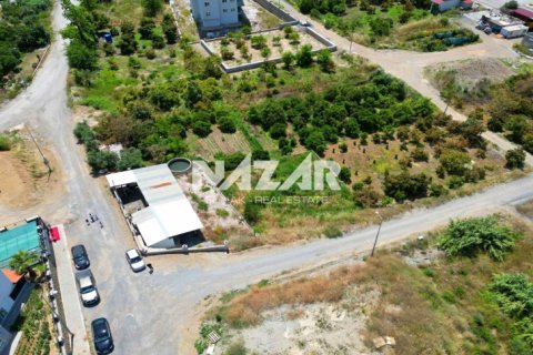 آپارتمان در Alanya ، ترکیه 771 متر مربع. شماره 226545 - 12