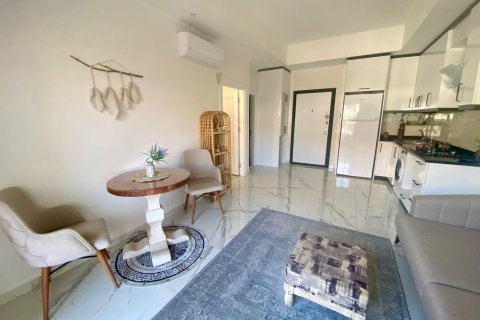 1+1 Wohnung  in Alanya, Antalya, Türkei Nr. 218733 - 3