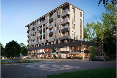 آپارتمان در Zeytinburnu،  Istanbul ، ترکیه 1 خوابه ، 50 متر مربع.  شماره 215561 - 1