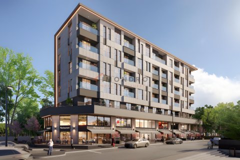 آپارتمان در Zeytinburnu،  Istanbul ، ترکیه 1 خوابه ، 50 متر مربع.  شماره 215561 - 3