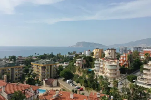 3+1 Villa  i Kestel, Antalya, Turkiet Nr. 219480 - 2