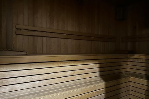 4+1 Wohnung  in Alanya, Antalya, Türkei Nr. 216587 - 18