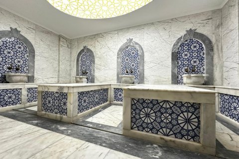 4+1 Wohnung  in Alanya, Antalya, Türkei Nr. 216587 - 14