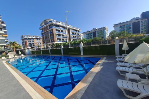1+1 Wohnung  in Alanya, Antalya, Türkei Nr. 216591 - 5