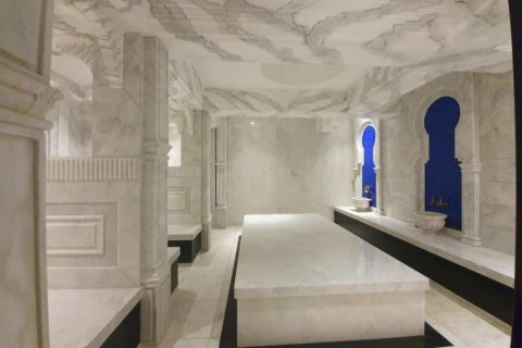 Daire 1+1 Alanya, Antalya, Türkiye №216593 - 12