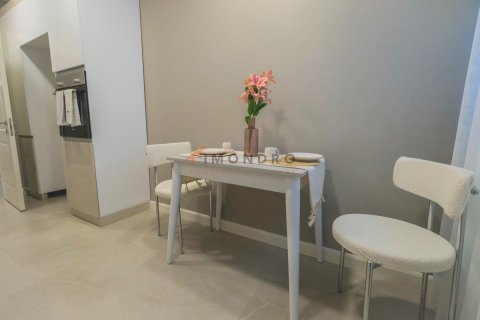 1+1 Lejlighed i Gaziosmanpasa, Istanbul, Tyrkiet Nr. 217051 - 29