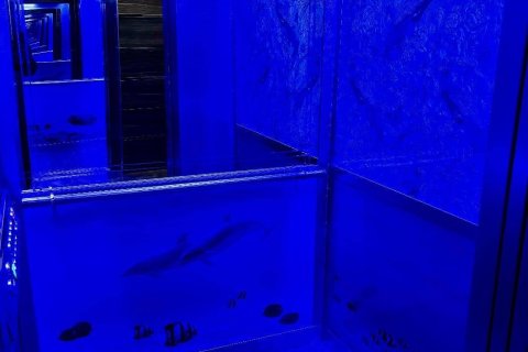 Apartment for sale  in Mahmutlar, Antalya, Turkey, 2 bedrooms, 110m2, No. 224371 – photo 15