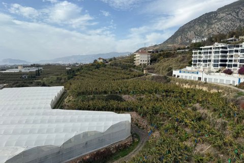 Apartment for sale  in Mahmutlar, Antalya, Turkey, 4 bedrooms, 210m2, No. 219760 – photo 17