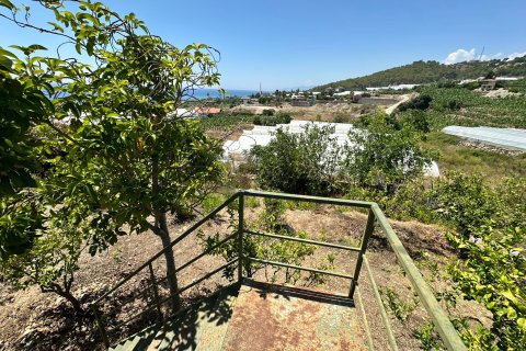 Villa 3+1 Alanya, Antalya, Türkiye №219722 - 10