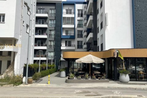 1+1 Lejlighed  i Long Beach, Iskele,  Nr. 214382 - 14