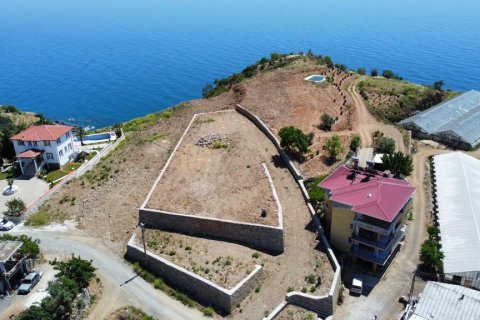 Tom  i Gazipasa, Antalya, Tyrkiet Nr. 230139