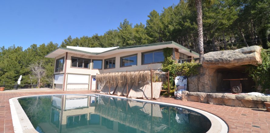 Erhvervsejendom  i Bektas, Alanya, Antalya, Tyrkiet Nr. 213274