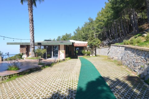 Erhvervsejendom  i Bektas, Alanya, Antalya, Tyrkiet Nr. 213274 - 11