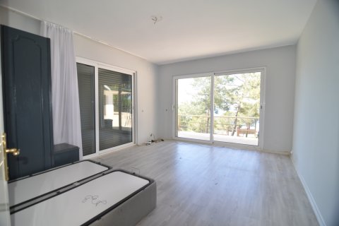 Erhvervsejendom  i Bektas, Alanya, Antalya, Tyrkiet Nr. 213274 - 22