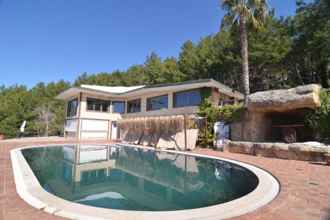 Erhvervsejendom  i Bektas, Alanya, Antalya, Tyrkiet Nr. 213274 - 5