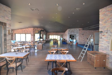 Erhvervsejendom  i Bektas, Alanya, Antalya, Tyrkiet Nr. 213274 - 13