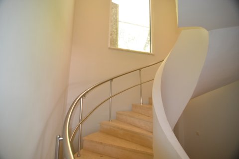 Erhvervsejendom  i Bektas, Alanya, Antalya, Tyrkiet Nr. 213274 - 23