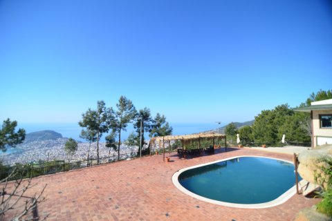 Erhvervsejendom  i Bektas, Alanya, Antalya, Tyrkiet Nr. 213274 - 8