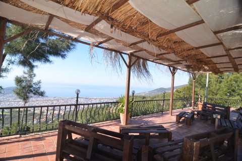 Erhvervsejendom  i Bektas, Alanya, Antalya, Tyrkiet Nr. 213274 - 10