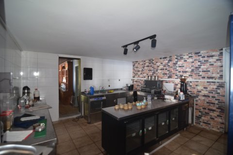 Erhvervsejendom  i Bektas, Alanya, Antalya, Tyrkiet Nr. 213274 - 15