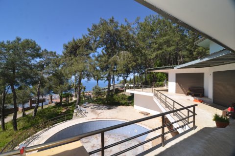 Erhvervsejendom  i Bektas, Alanya, Antalya, Tyrkiet Nr. 213274 - 19