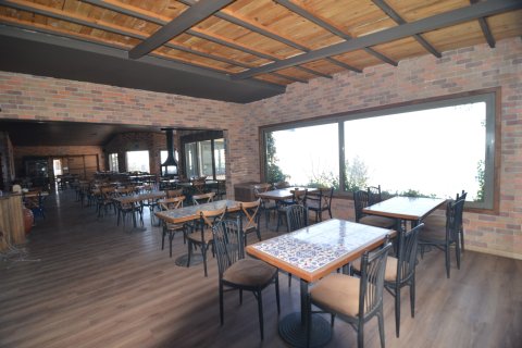 Erhvervsejendom  i Bektas, Alanya, Antalya, Tyrkiet Nr. 213274 - 14