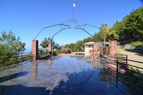 Erhvervsejendom  i Bektas, Alanya, Antalya, Tyrkiet Nr. 213274 - 4