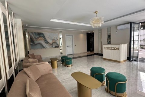 1+1 Wohnung  in Alanya, Antalya, Türkei Nr. 216270 - 3