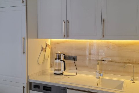 1+1 Wohnung  in Alanya, Antalya, Türkei Nr. 216270 - 2